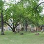 Texas Christian University