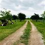 Obregon Ranch