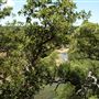 Old Ponderosa Ranch
