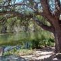 Old Ponderosa Ranch