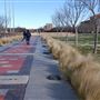Texas Tech University