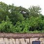 Marshall Amtrak & Depot Museum