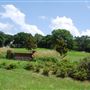 Reagan Park