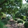 Reagan Park