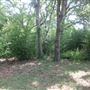 Waldhauser Property