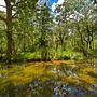 Wimberley Getaways - Messina Inn