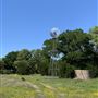 Inspiring Oaks Ranch