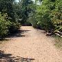 Red Bud Isle