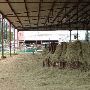 Stockyards Station - Cowtown Cattlepen Maze