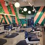 Birds Barbershop - Domain