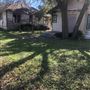 Huerta Willow Street Houses
