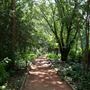 Clark Gardens Botanical Park