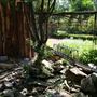 Clark Gardens Botanical Park