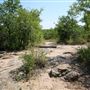 Lake Mineral Wells State Park