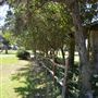 Cedar Isle Ranch