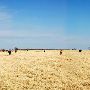 Miller Creek Ranch