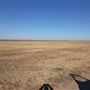 Tahoka City Airport