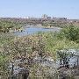 Buffalo Springs Lake