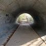 Walnut Creek Metropolitan Park
