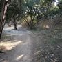 Walnut Creek Metropolitan Park