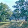 Camp Blanco