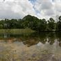 Lake Bastrop