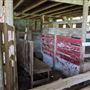 Rural Farm - Two House Property