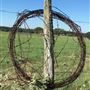 Bucking Beauty Farm