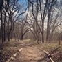 Bastrop County Nature Park