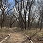 Bastrop County Nature Park