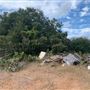 Rose Ranch