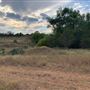 Rose Ranch