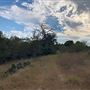 Rose Ranch