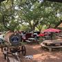 Pecan Grove Store