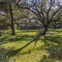 Wood Cabin at Chocolate Bayou Preserve
