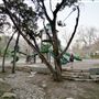 North Oaks Neighborhood Park