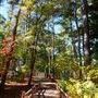 Synergy Park