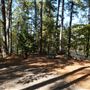 Synergy Park