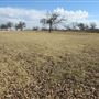 Miles City Park