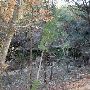 Wimberley Zipline Adventures