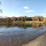 River Rd over Blanco River