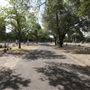 Oakwood Cemetery