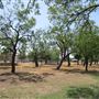 Miles City Park