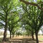 Miles City Park