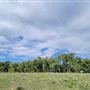 Blue Ranch