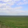 Blue Ranch