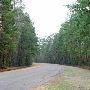 Lake Livingston State Park