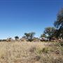 Gemini Movie Ranch