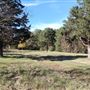 Scottsville Property