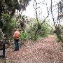 Sabal Palm Sanctuary
